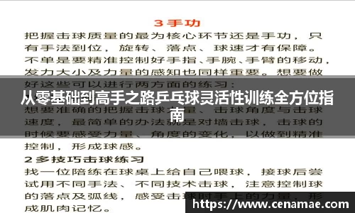 从零基础到高手之路乒乓球灵活性训练全方位指南